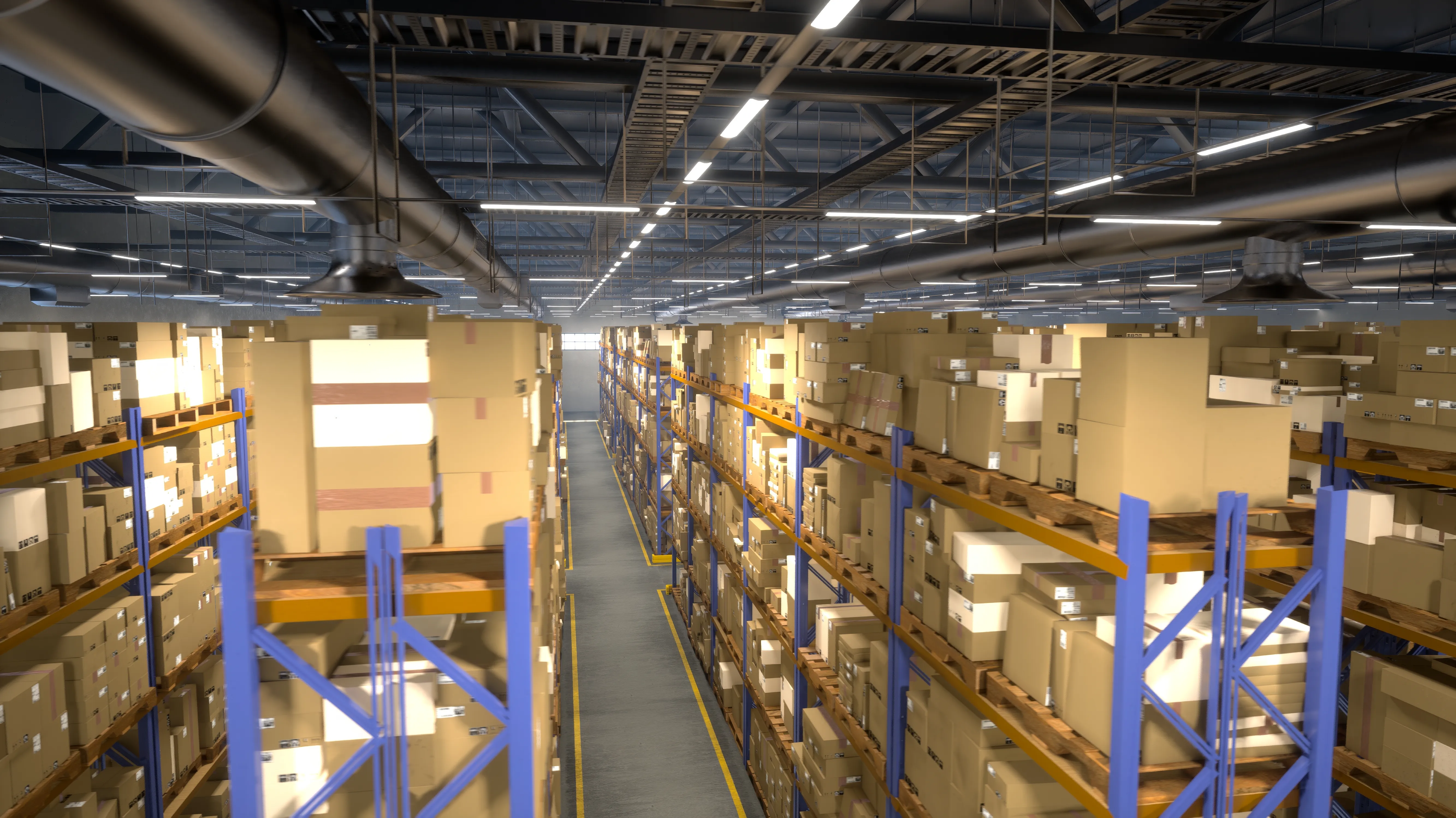 Warehouse storage racks filled with cartons